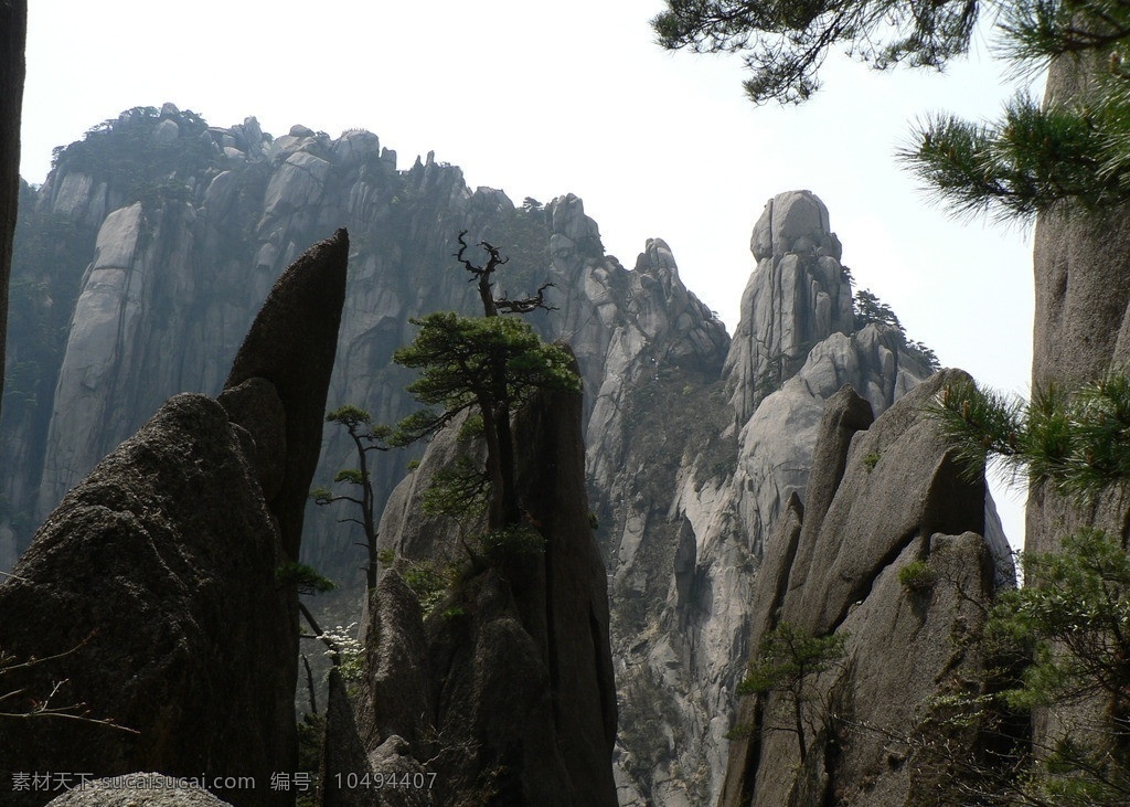 安徽黄山风景 安徽 黄山 风景 岩石 自然风景 旅游摄影