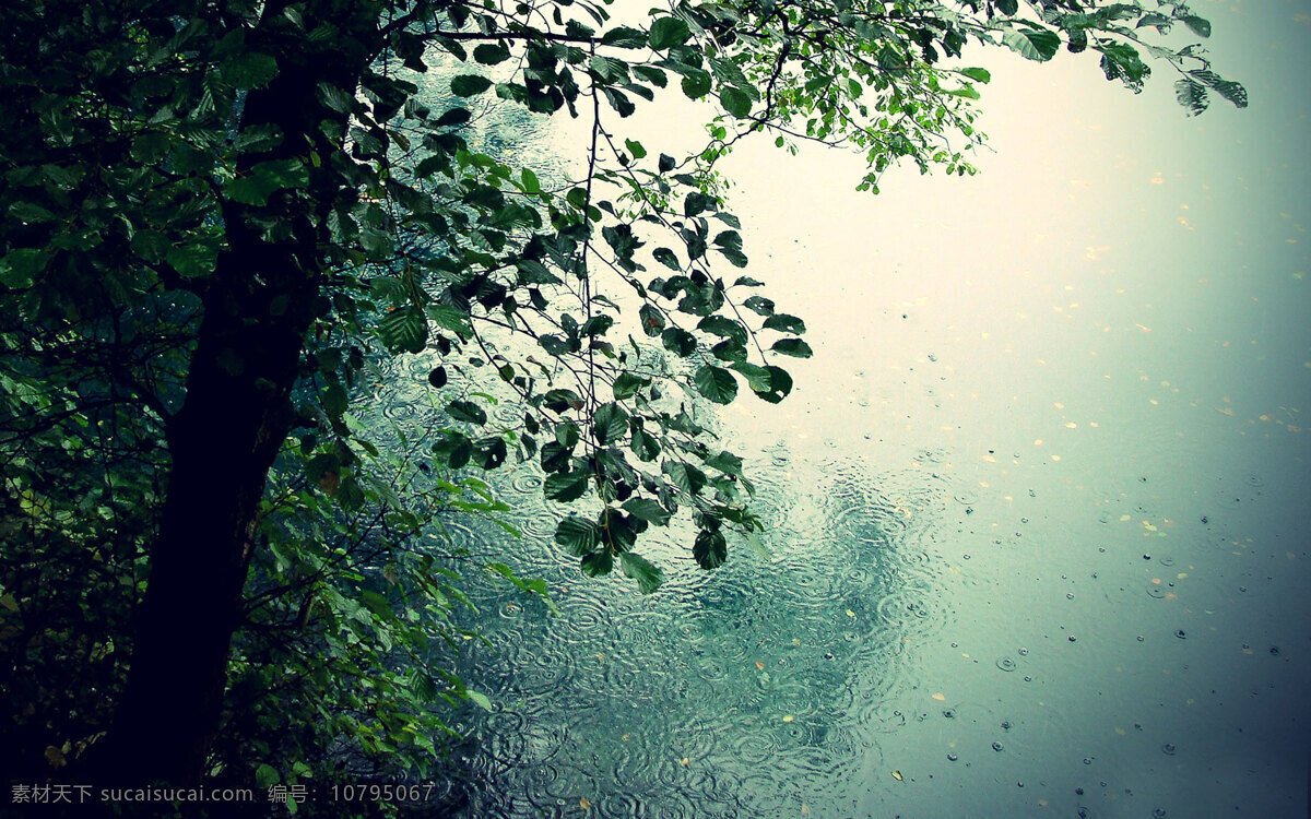 雨中景 自然 风景 桌面 雨滴 玻璃 壁纸 风光 旅游 宁静 波纹 意境 雨 窗外 生活 唯美 夜景 天气 连珠 景观 天象 雨水 心情 水花 雨中 下雨 雨帘 自然风景 自然景观