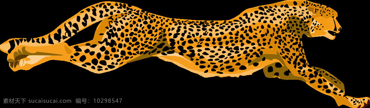 豹子图片 豹子 猎豹 豹 花豹 非洲豹 美洲豹 公豹 母豹 云豹 雪豹 虎豹 狮豹 png图 透明图 免扣图 透明背景 透明底 抠图 生物世界 野生动物
