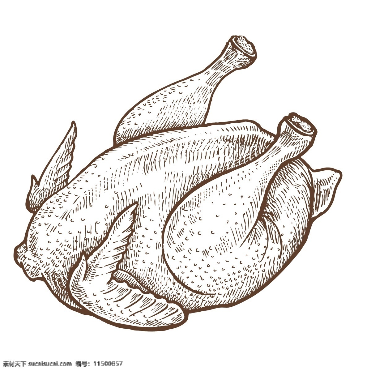 餐饮 食物 插画 元素 蔬菜 鸡肉 鸡腿 复古插画 简笔插画 线条插画 餐饮插画元素 肉类插画 动漫动画