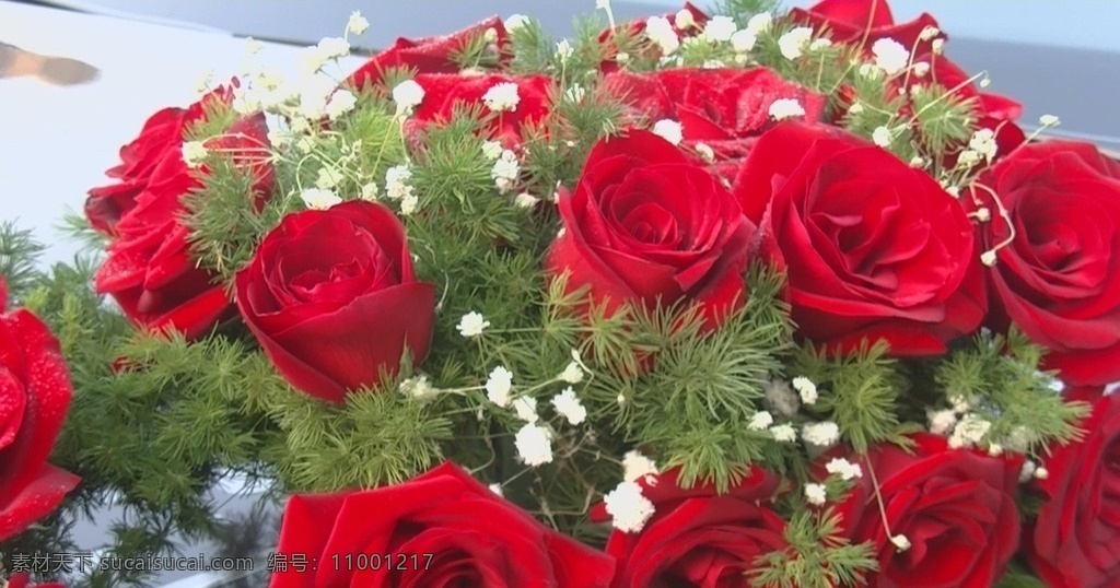 鲜花 玫瑰 由虚变实 爱情 红色 花朵 花艺 红花 花篮 多媒体 实拍视频 动物植物 mov