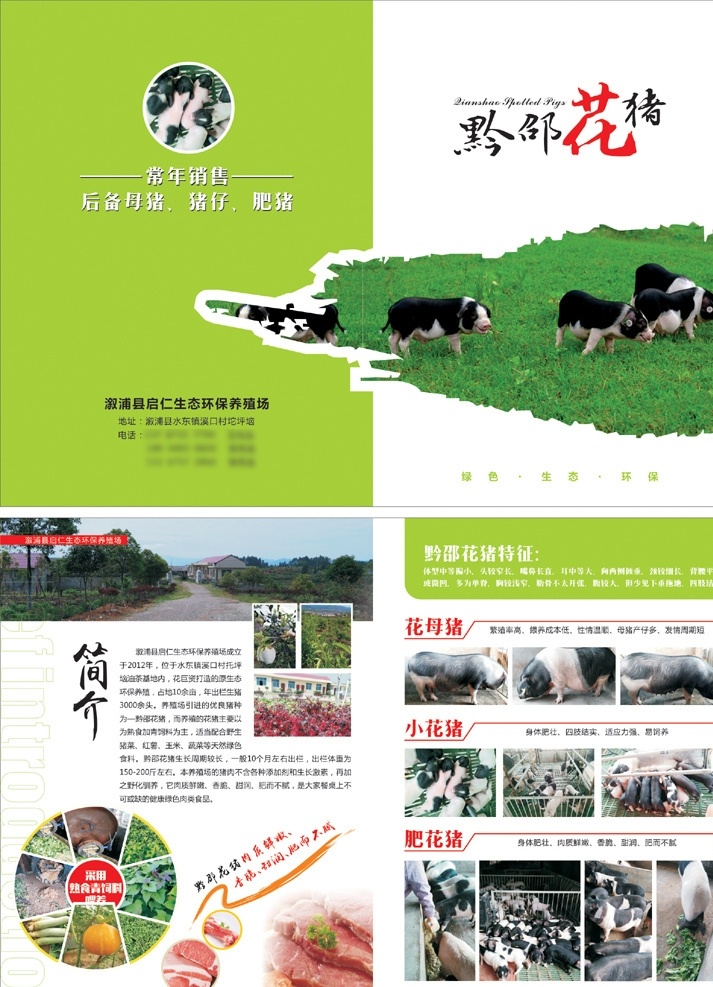 黔邵花猪折页 黔邵花猪 黔邵 花猪 黔邵花猪传单 黔 邵 花 猪 dm 单 花猪肉 花猪宣传单 传统花猪 宁乡花猪 溆浦花猪 宁乡花猪传单 花猪宝 溆浦