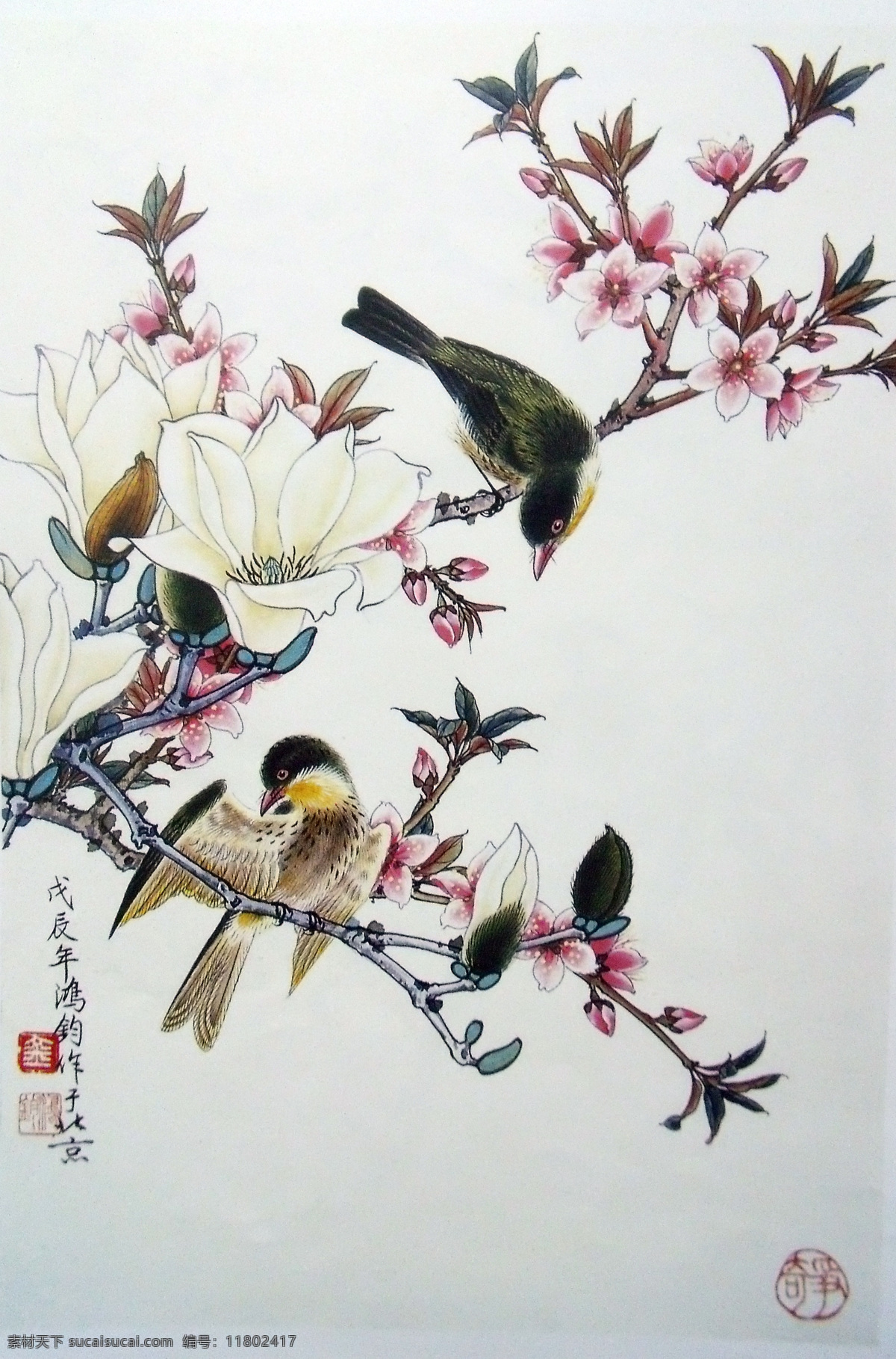 国画 花鸟 国画花鸟 白玉兰花 粉色桃花 群花绽放 含苞盛开 枝头一对山雀 嘻嘻 欢闹 工笔画 美术国画 水墨画 彩墨画 绘画书法 文化艺术 设计素材 中国工笔画