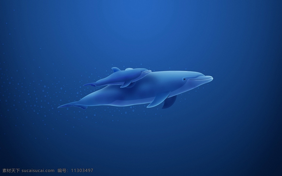 bmp 大海 动漫动画 海底 海豚 海洋 蓝色 母爱 母子 豚设计素材 海豚模板下载 生物 桌面 水珠 水滴 水泡 气泡 自然 唯美 安宁 psd源文件