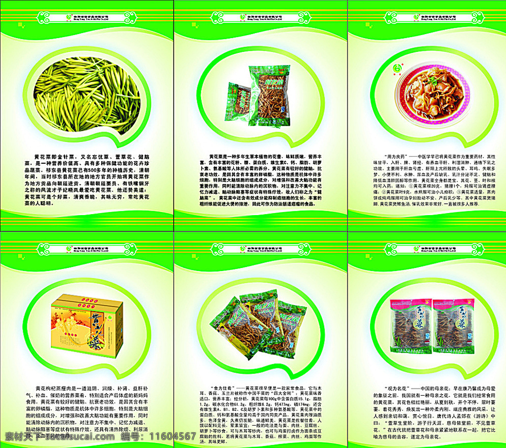 黄花菜 展板 制度 户外广告 海报 健康 绿色食品 矢量图 白色
