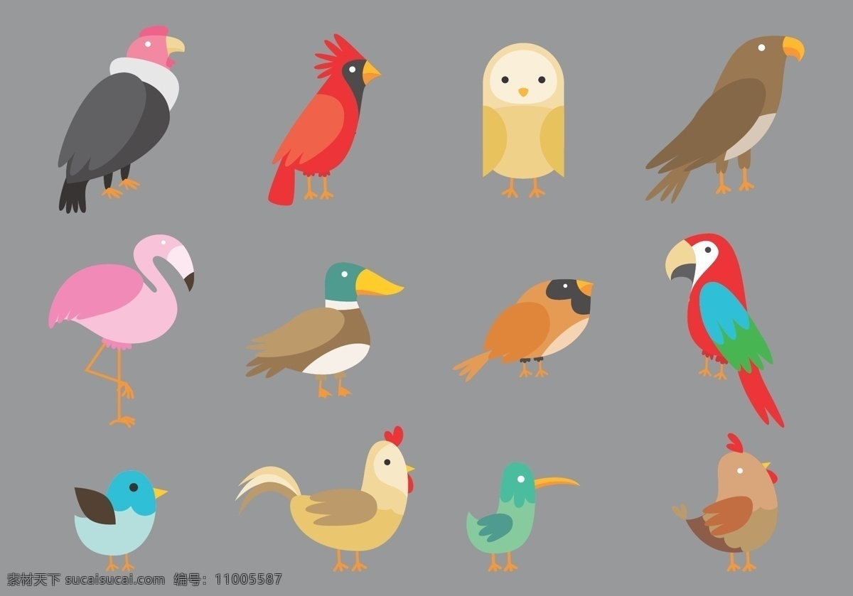 各式各样 卡通 鸟 矢量 卡通动物 动物素材 动物 手绘动物 矢量素材 扁平动物 矢量动物 小鸟