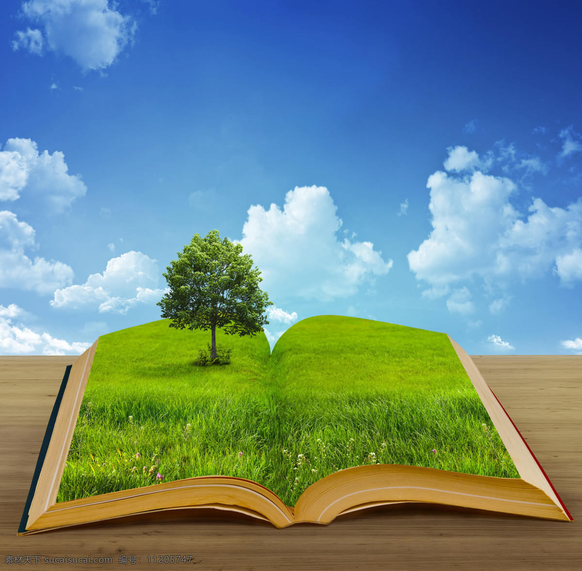 绿色环保 高清图片 jpg图库 绿化素材 一本书 蓝天 树 草地 木纹 环保图片 风景图片