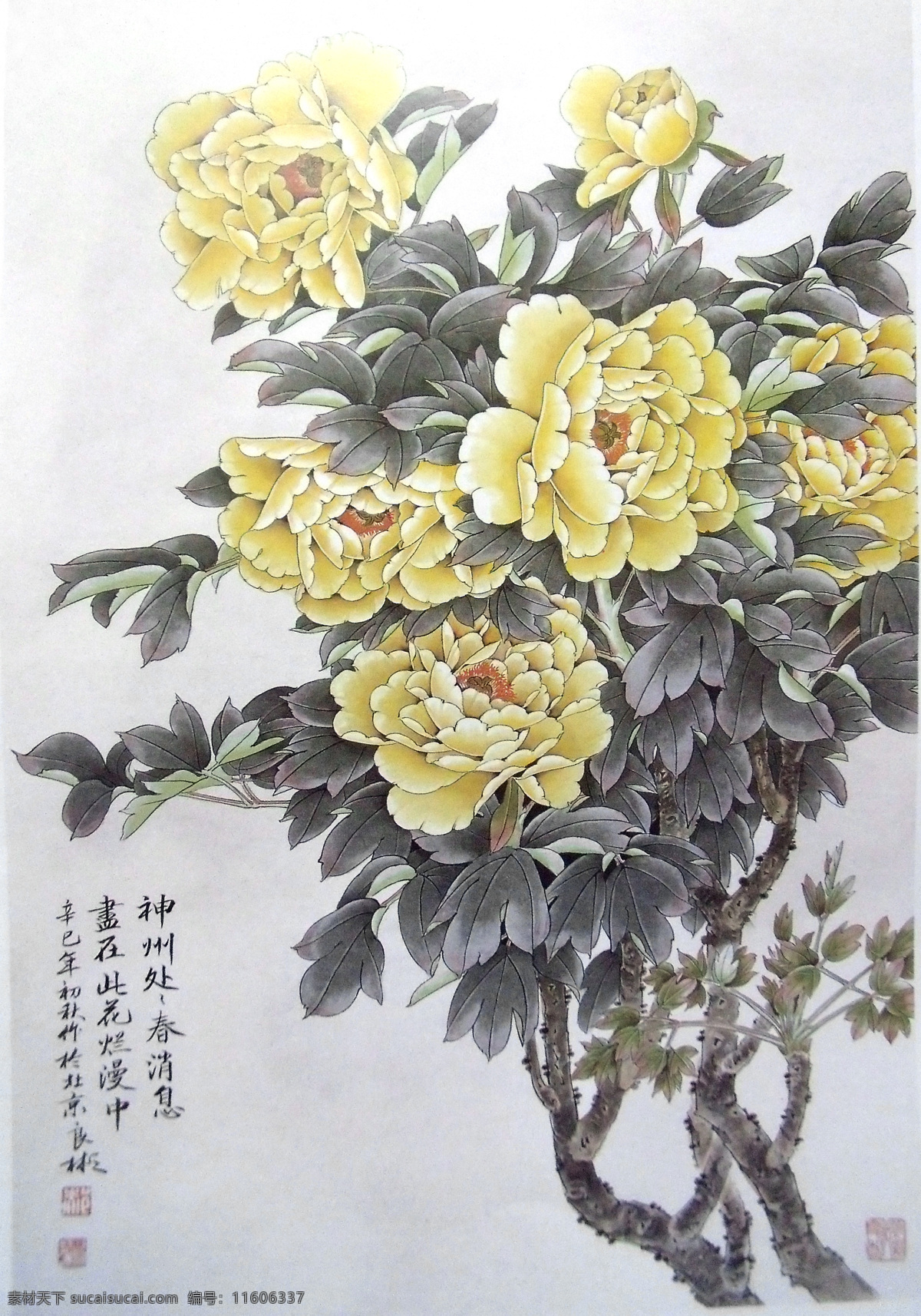 国画 牡丹花 牡丹 黄色花朵 盛开 花开富贵 富贵国色 精品牡花素材 工笔画 美术国画 水墨画 彩墨画 绘画书法 文化艺术 设计素材 中国工笔画