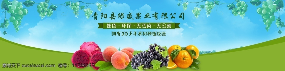 关于 水果 网站 banner 网站设计 水果素材 小清新 葡萄 青色 天蓝色