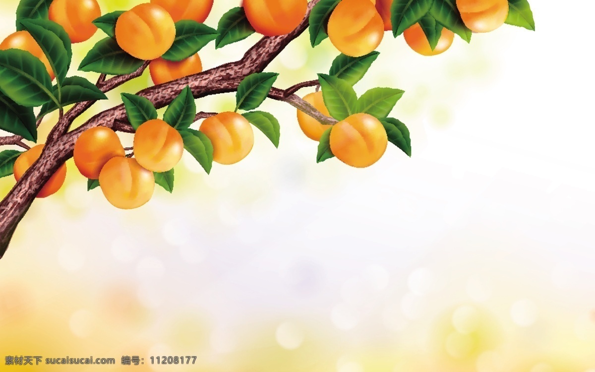 秋收 桃子 树 矢量 果实 果树 矢量素材 水果 桃子树