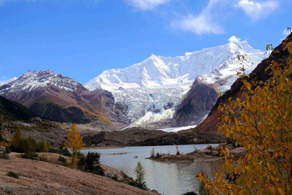 米堆冰川 西藏八宿 雪峰 冰川 湖水 黄叶 蓝天白云 旅游摄影 国内旅游