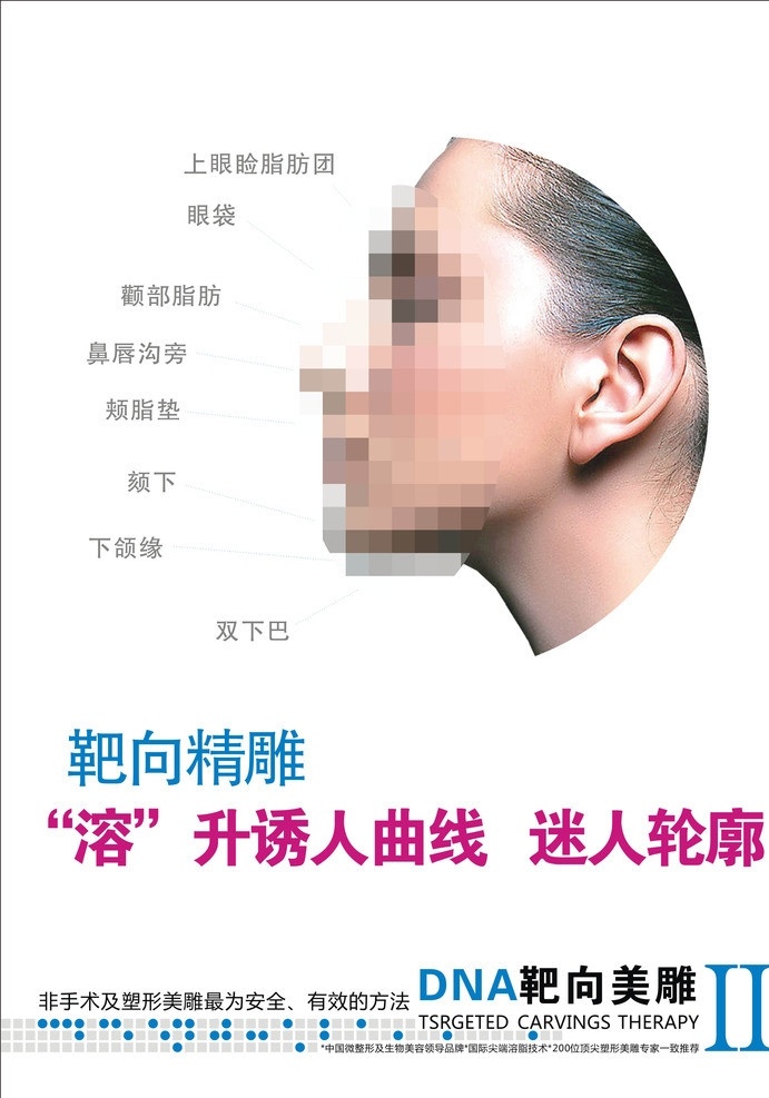 dna 靶向 美 雕 展架 脸部 微针 注射 魅力 侧脸 瘦脸 瘦脸针 美女 整形 美容 医院 皮肤 展示 展板 模板 矢量广告模板 展板模板 矢量