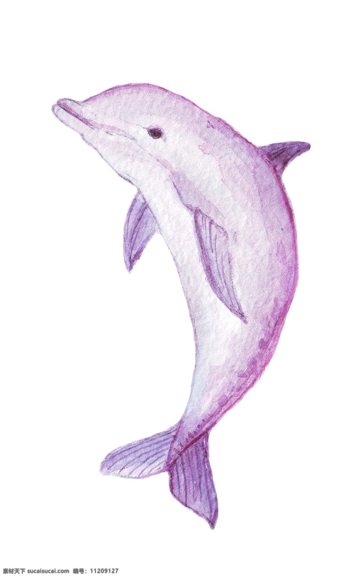 水彩 粉色 鲸鱼 矢量 可爱 矢量素材 设计素材 背景素材