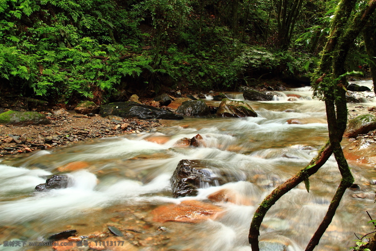 大山 森林 河流 小溪 瀑布 自然景观 自然风景