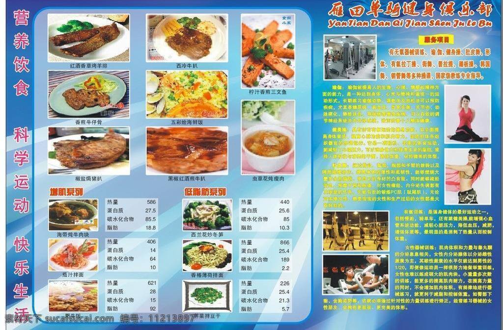健身 美食 一体 海报 体育 瑜伽 健身中心 矢量 其他海报设计