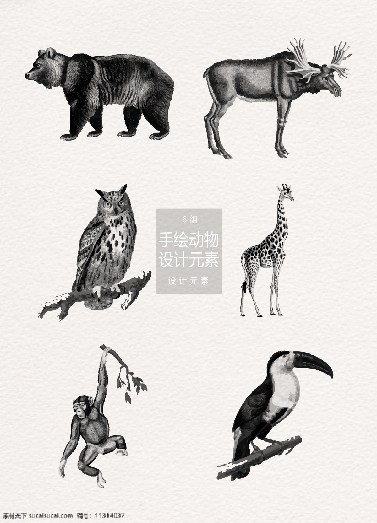 手绘 动物 插画 元素 森林 猫头鹰 长颈鹿 猴子 动物插画 手绘动物 熊 麋鹿 鹦鹉 猩猩
