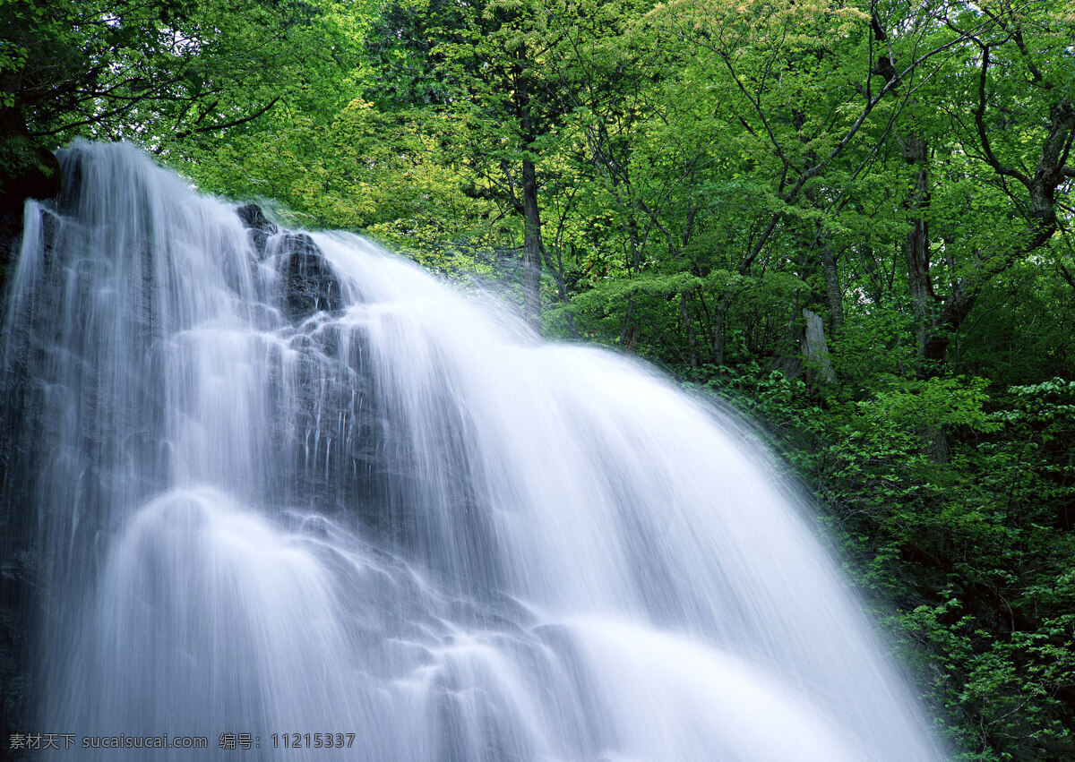 树免费下载 风景 山水风景 摄影图 树 植物 自然景观 水 家居装饰素材 山水风景画