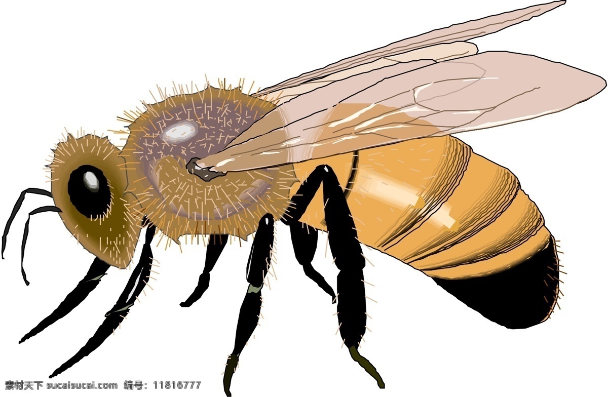 3d 昆虫 蝴蝶 昆虫矢量图 生物 世界 矢量 矢量图 其他矢量图