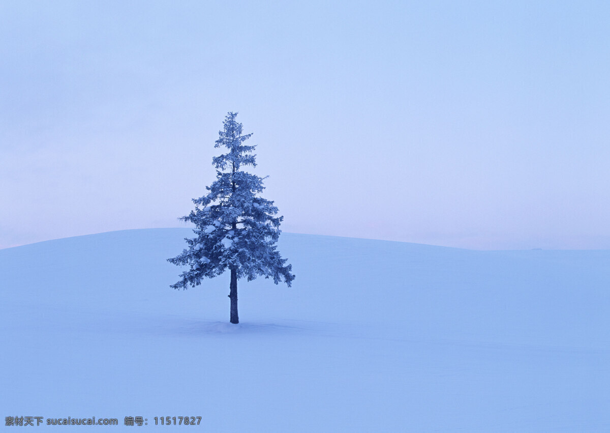 天空 下雪 地上 一棵树 横构图 树木 树 雪地 雪景 白雪皑皑 冬景 风景 高清风景图片 高清图片 山水风景 风景图片