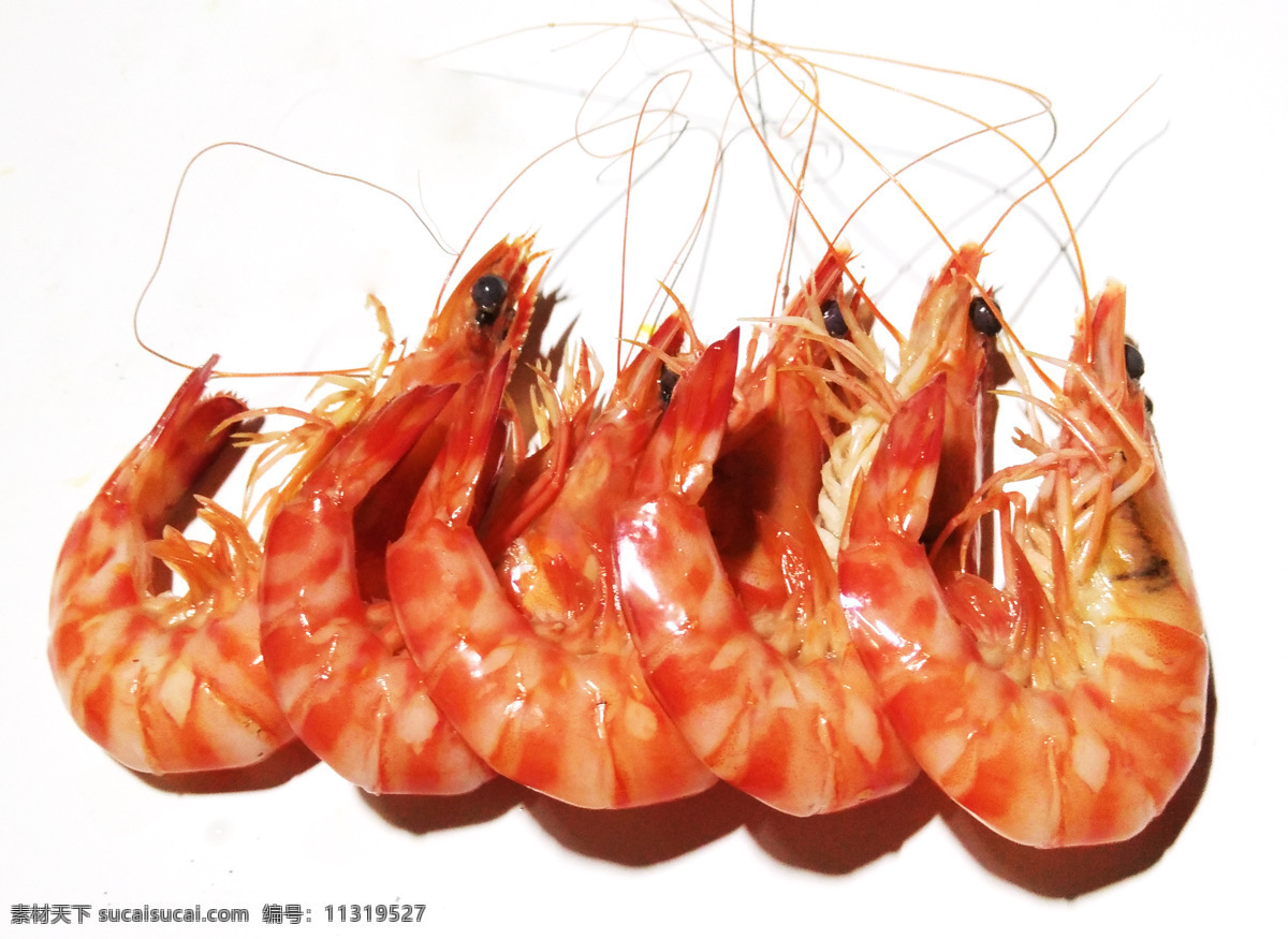 大虾 红虾 虾 熟虾 蒸虾 虾素材 生物世界 海洋生物