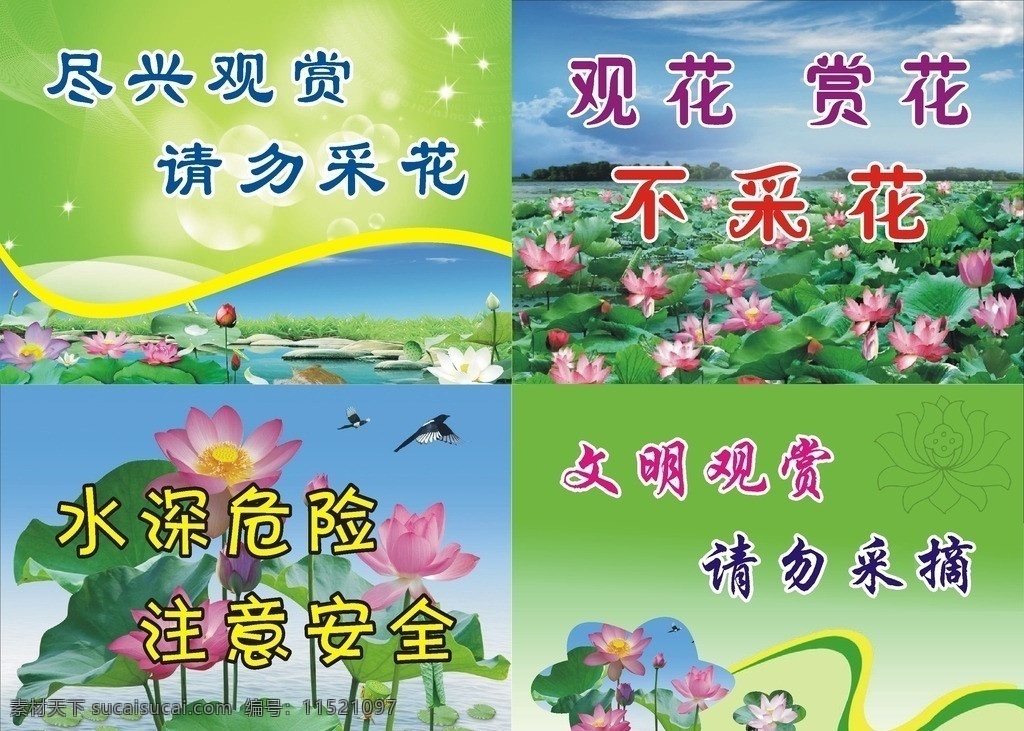 荷花节展板 荷花节标语 绿色背景 蓝色背景 盛开的荷花 星星点光 彩带 河水 矢量