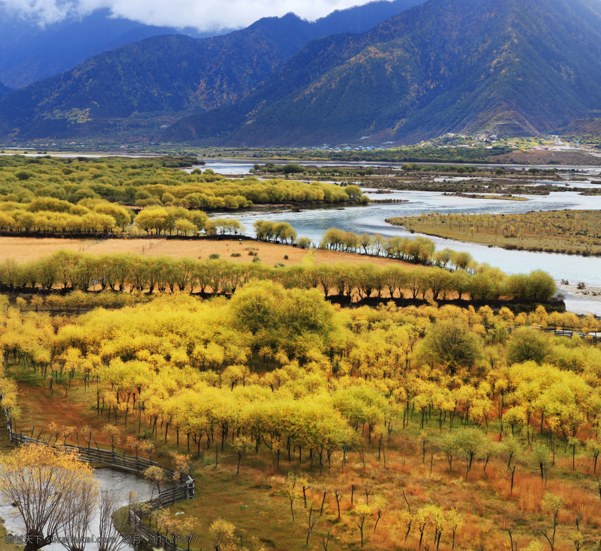 西藏之旅 拉萨河美景 草地 树林 秋天 黄叶 河滩 云淡缥缈 自然景观 自然风景