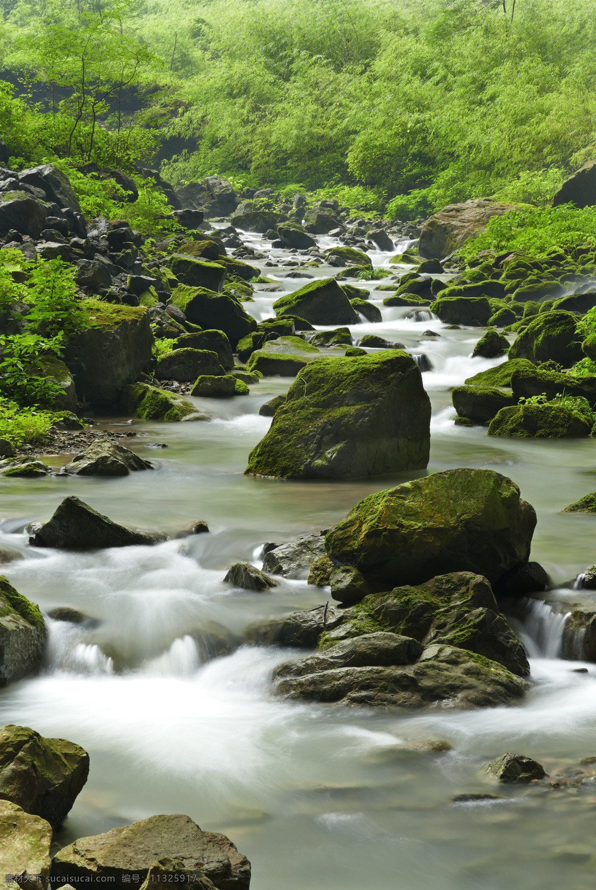 仙女山 天坑 小溪 溪水 溪流 流水 小河沟 相机拍摄 自然景观 自然风景