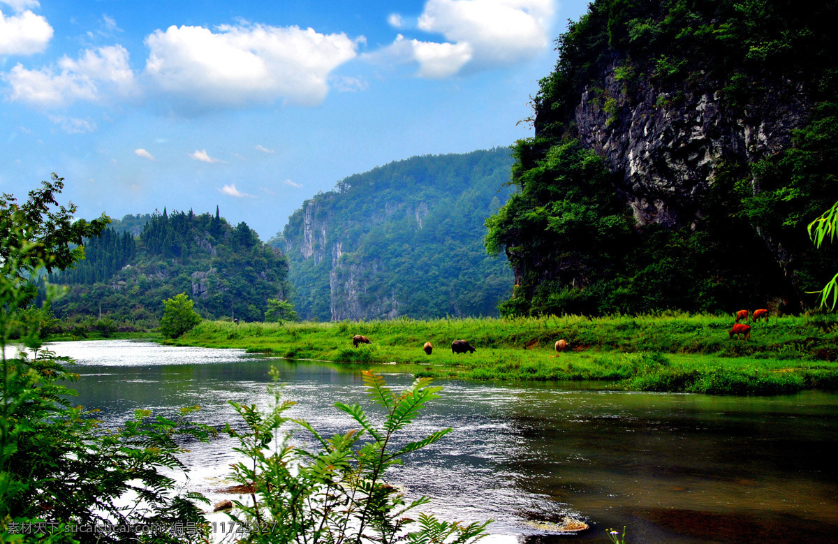 高清 风景 白云 河流 江南 蓝天 湿地 树林 生物世界