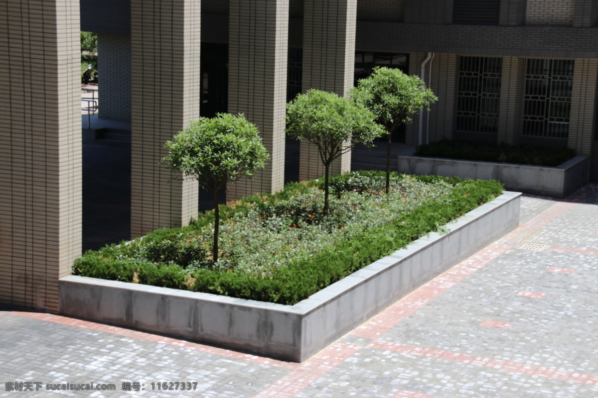花坛 树木 园艺 建筑 自然景观 建筑景观