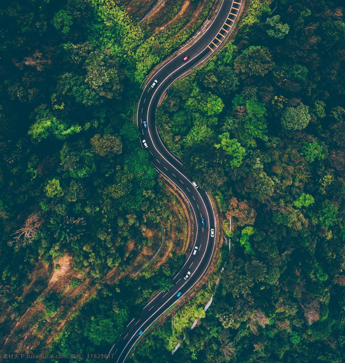 俯瞰森林风景 森林 俯瞰 树木 道路 穿梭 美景 壮丽 多娇江山 自然景观 自然风景