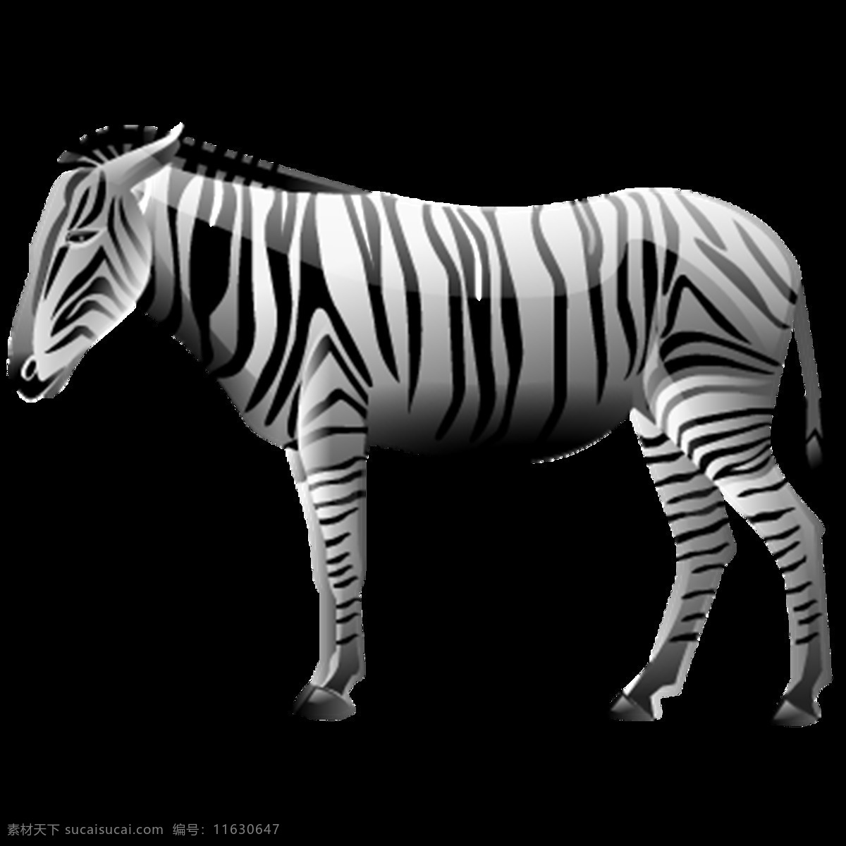 斑马图片 斑马 png图 透明图 免扣图 透明背景 透明底 抠图 生物世界 野生动物