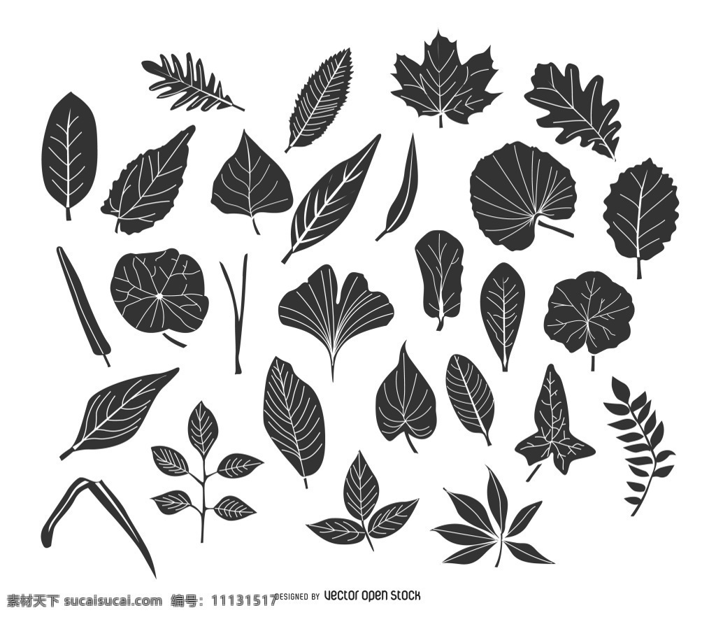 树叶叶子花纹 黑白手绘 树叶 叶子 花纹 落叶 植物 矢量图 ai格式