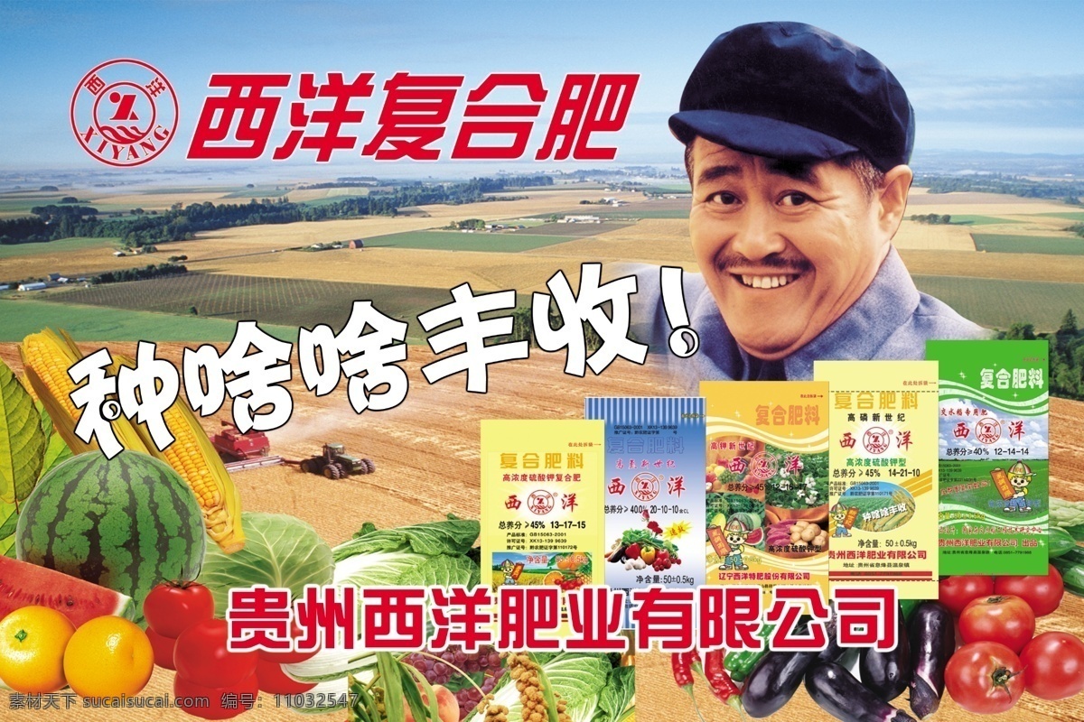 西洋 复合肥 赵本山 西洋复合肥 化肥 蔬菜 土地 其他模版 广告设计模板 源文件