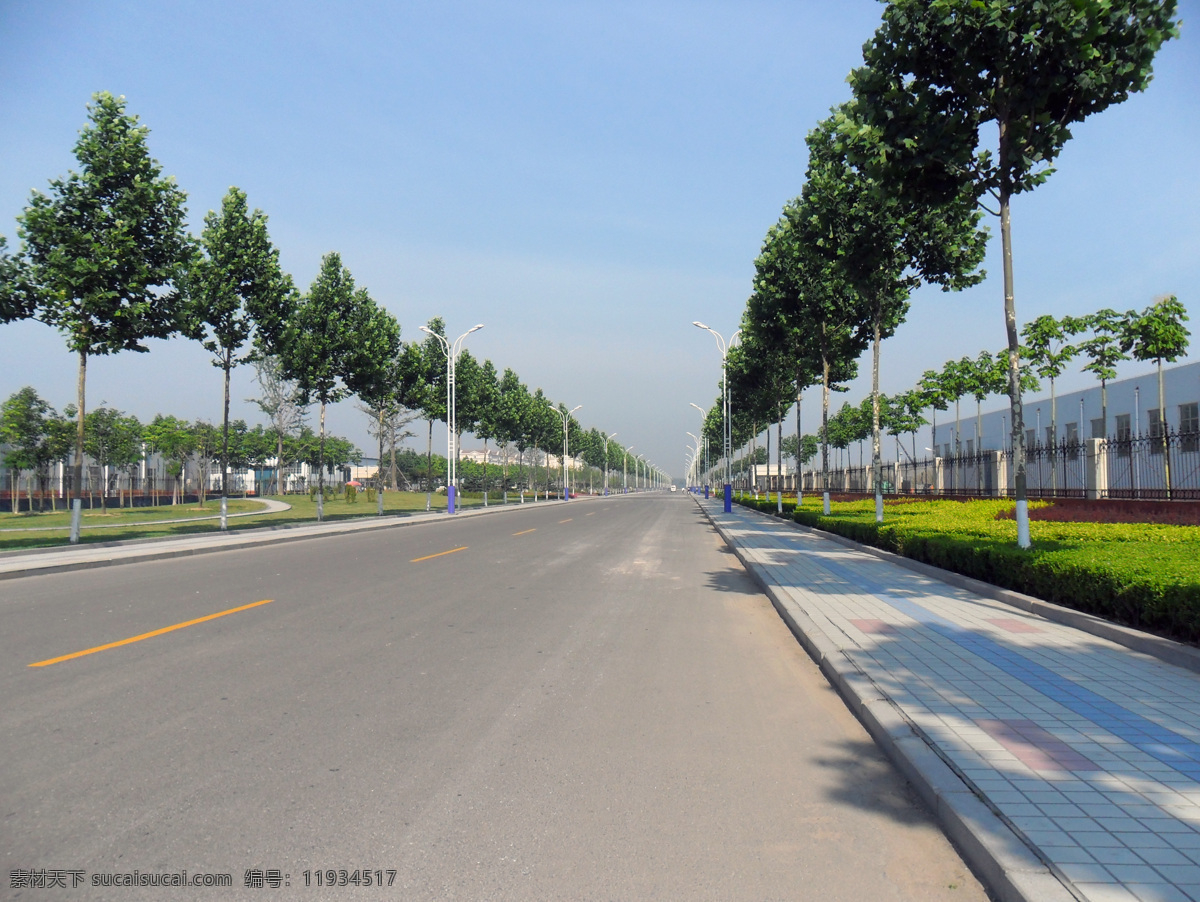 厂 中 马路 厂房 蓝天 路灯 绿化带 绿树 风景 生活 旅游餐饮