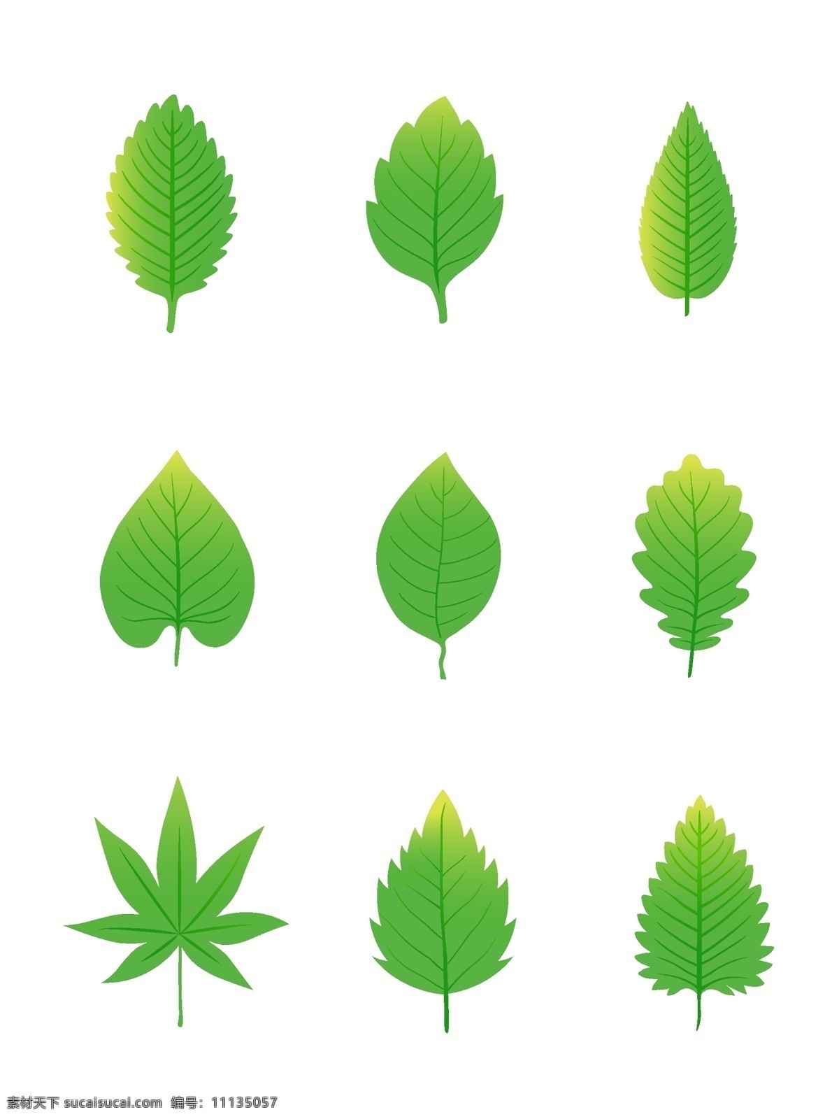 绿叶 元素 卡通 简约 树叶 套 图 植物 清爽