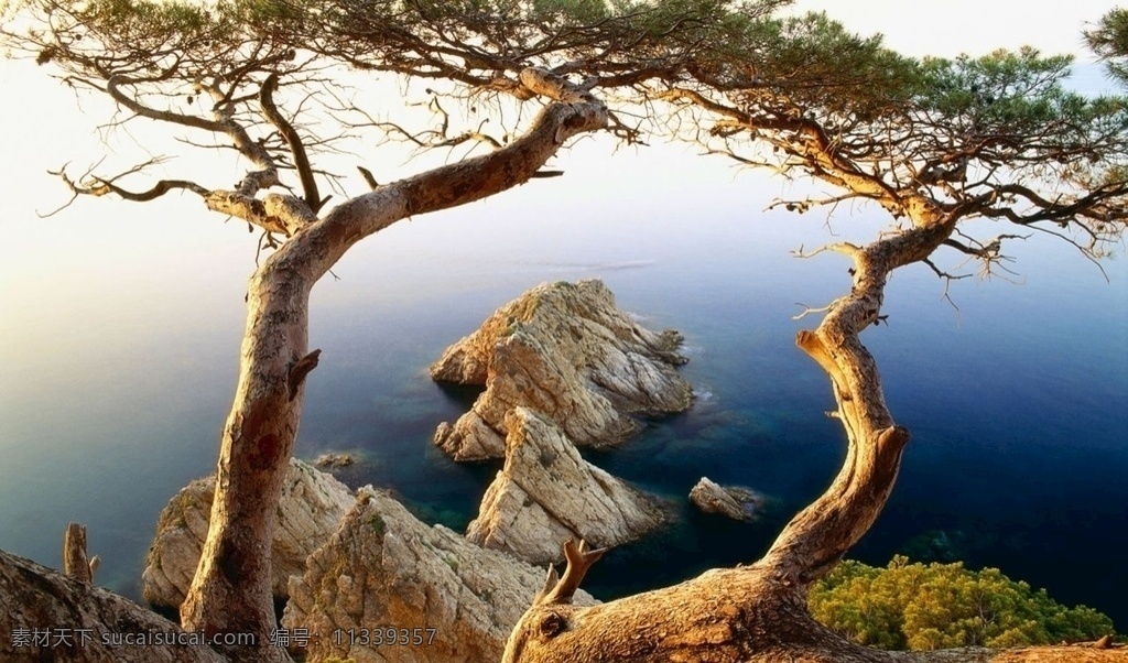 风景照 风景 风景图 美景 美景照 大自然 自然 自然风景 自然风光 自然景观 蓝天 白云 草地 蓝天白云 蓝天白云草地 池塘 湖泊 河流 房子 房屋 屋子 老房子 建筑 古建筑 花园 花坛 花丛 花海 草坪 古镇 天空 中国风 繁华 幽静 小村庄 村庄 村子 树木 大树 小树 流水 垂柳 景色 jpg图片 山水风景