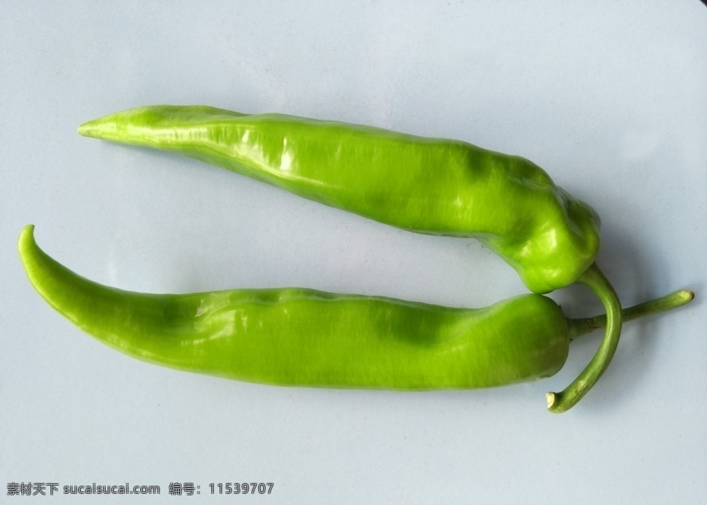 青辣椒 绿色辣椒 新鲜蔬菜 长辣椒 小辣椒 尖头辣椒 尖头青椒 蔬菜 新鲜 食品 绿色 绿色食品 农业 青菜植物 素食 维生素 有机蔬菜 水果 生物世界
