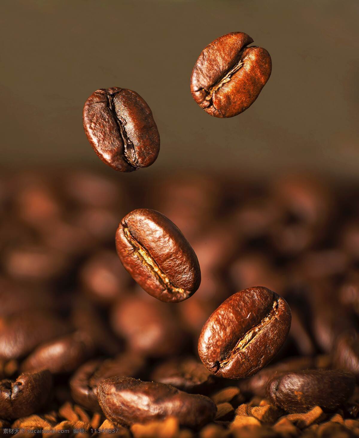 咖啡豆 咖啡 可可 可可豆 饮料 饮品 美味 原材料 食材 餐饮美食 饮料酒水