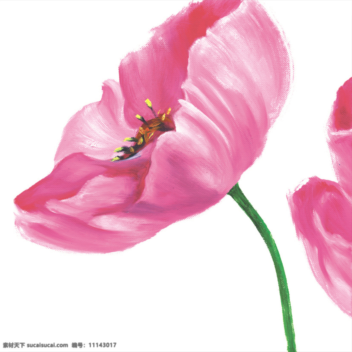 二联 油画 二联画 粉红色 花朵 花儿 联画 无框画 艺术风格 罂粟 郁金香 两联画 市内装饰 装饰画 植物 装饰素材