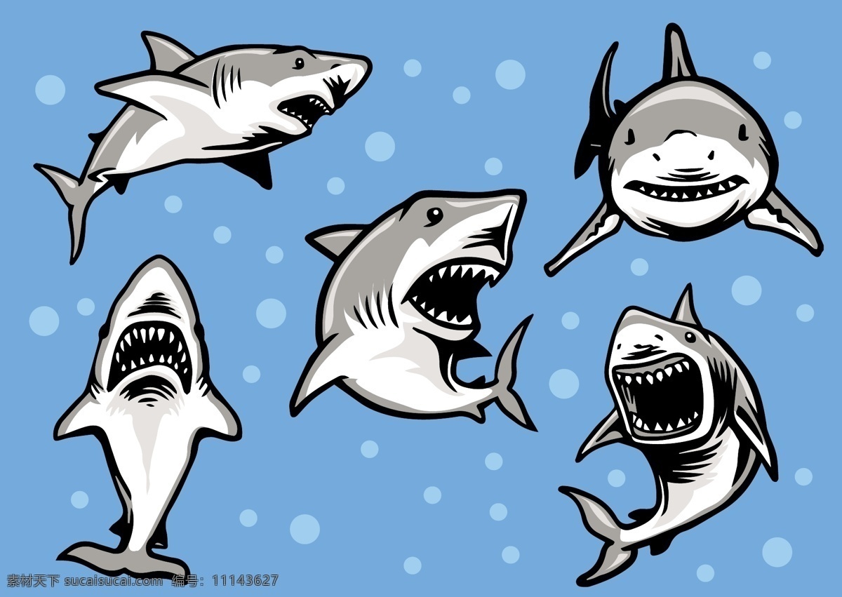 鲨鱼设计图素材图片下载-素材编号11143627-素材天下图库