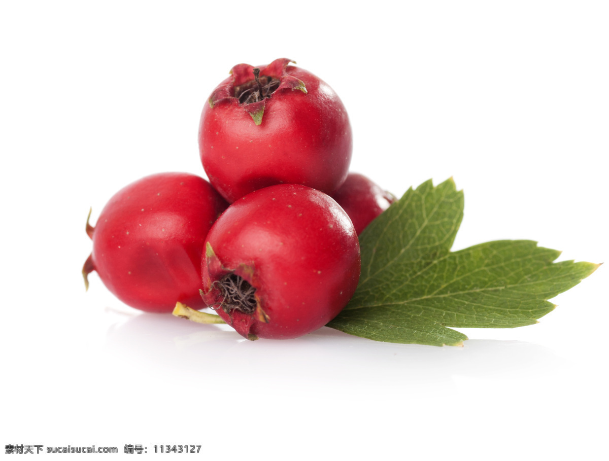 山楂红果图片 红果 山楂 草本 健康 绿色 莓果 美容 食材 水果 美食 中药材 叶子 生物世界