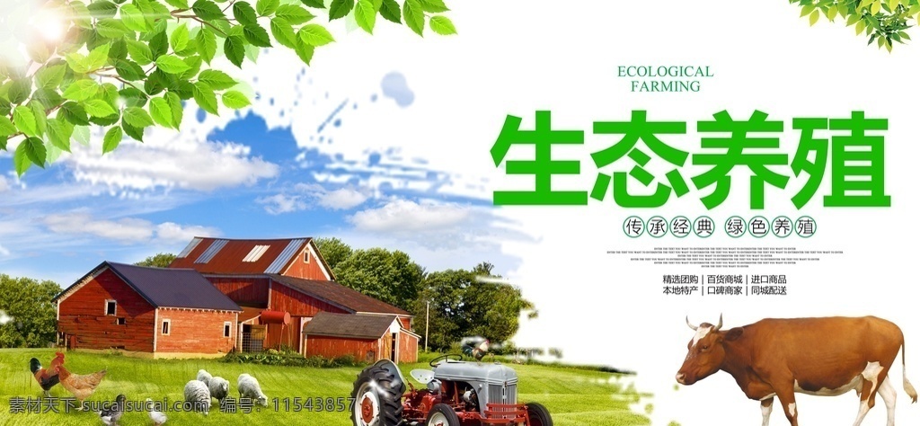 生态养殖 养殖海报 绿色环保 养殖场 养殖 农场 养殖农场