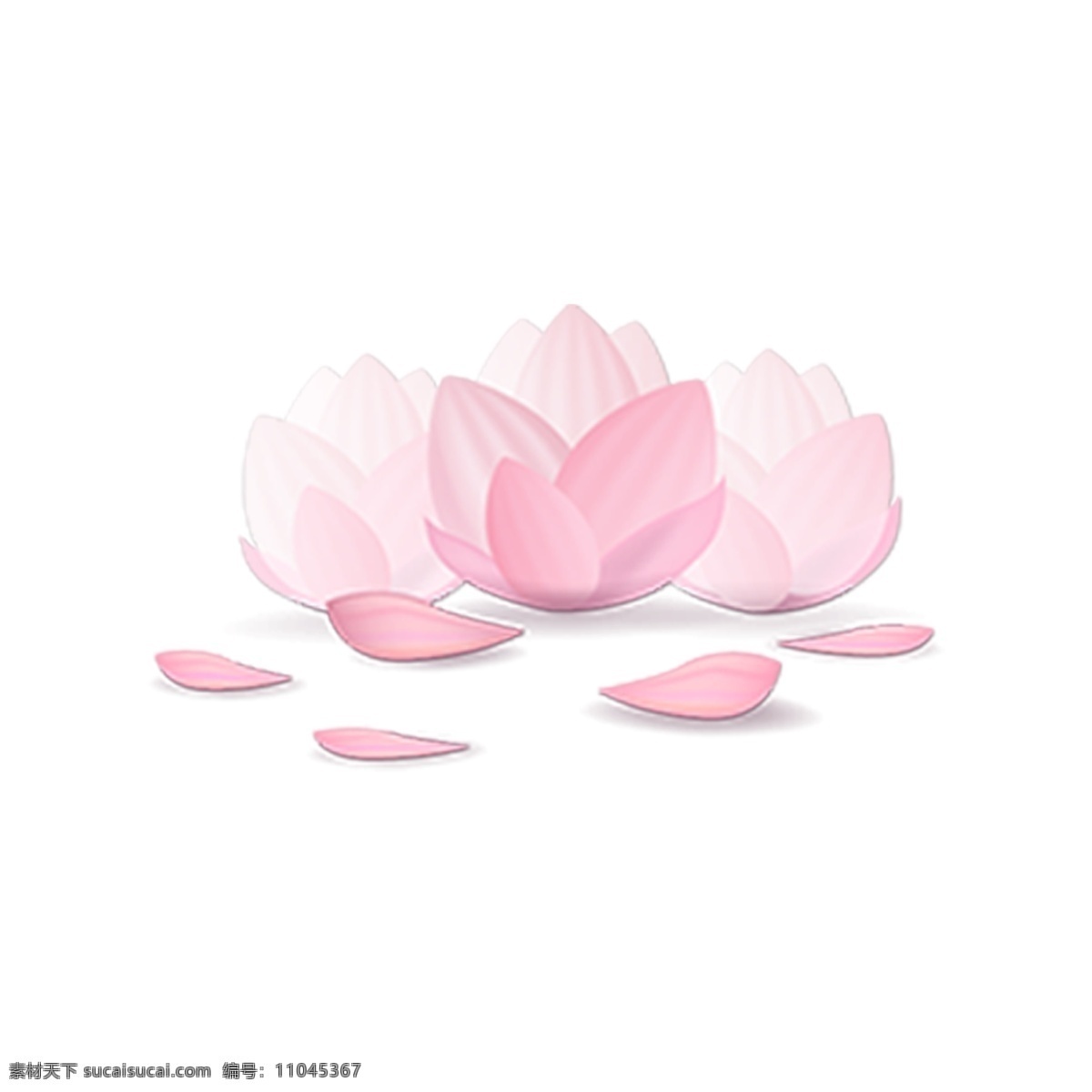 粉色 荷花 装饰 荷花瓣 复古 装饰素材