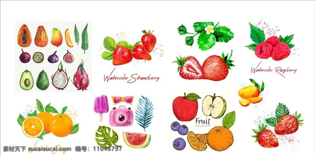 水彩 彩绘 矢量 卡通 美味 新鲜 水果 果子 手绘水果 彩绘水果 切开的水果 水果矢量图 水果矢量素材 水彩水果素材 彩绘水果素材 水果彩绘 插画 水果插画