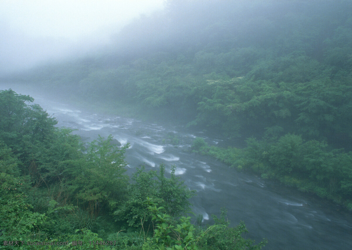 绿色 树木 湖泊