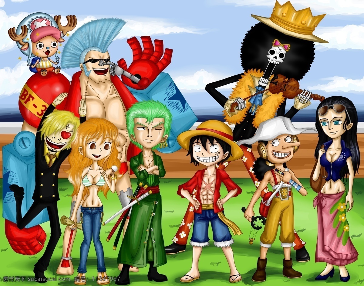 海贼王 路飞 索隆 乔巴 布鲁克 娜米 乌索普 罗宾 sanji franky 动漫人物 动漫动画