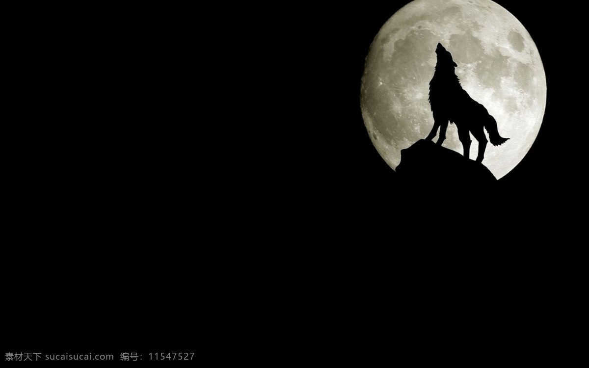 苍狼啸月 壁纸 狼 月亮 唯美 野生动物 生物世界