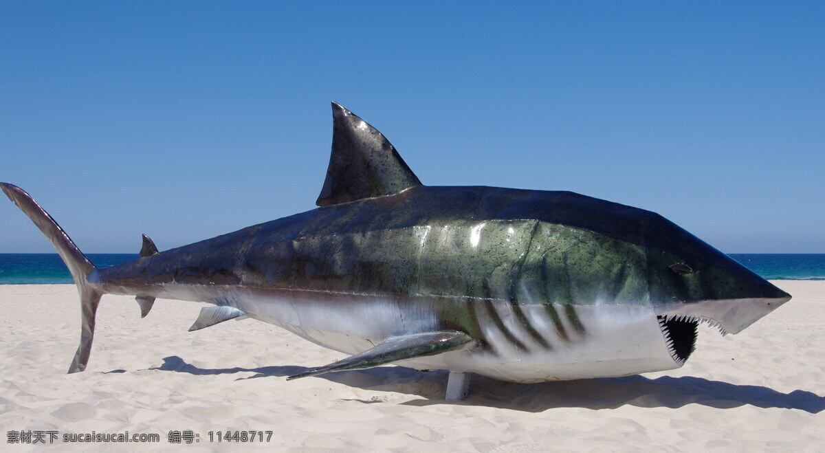 海边 鲨鱼 雕塑 雕像 艺术品 工艺品