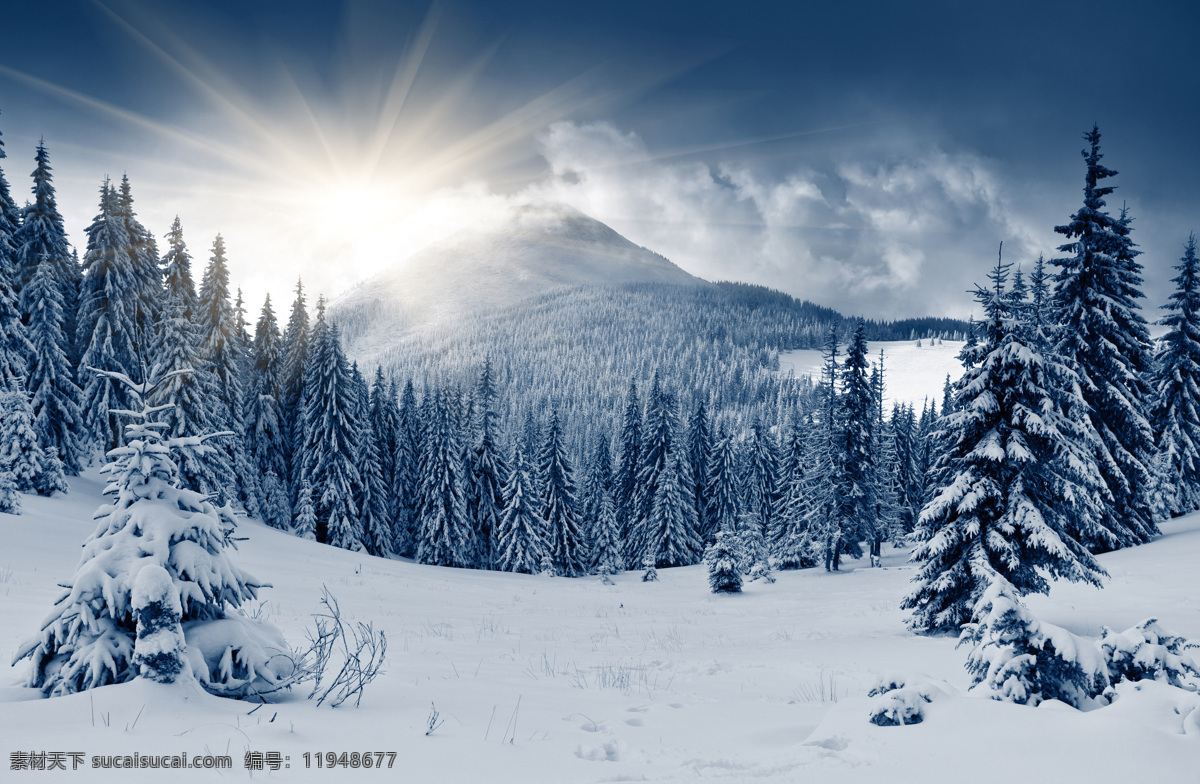朝阳 下 高山 树林 雪地 树木 雪景 美景 山水风景 风景图片