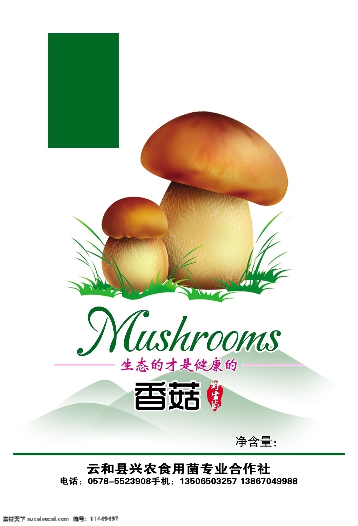 香菇包装 香菇 食用菌 包装袋 绿色食品 精品 源文件库 广告设计模板 包装设计